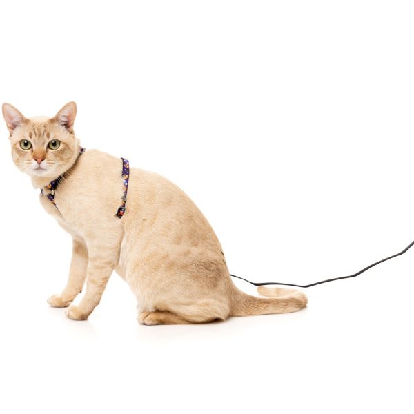 15% OFF: FuzzYard Cat Harness & Leash Walking Set (Caturday Night Fever) Online Hot Sale