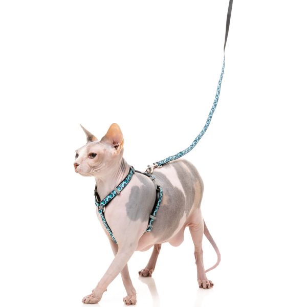 15% OFF: FuzzYard Cat Harness & Leash Walking Set (Wild One Aqua) Online now