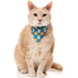 FuzzYard Cat Collar, Bandana & Bowtie Fashion Pack (Cheesy Hearts) Cheap