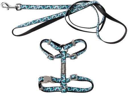 15% OFF: FuzzYard Cat Harness & Leash Walking Set (Wild One Aqua) Online now