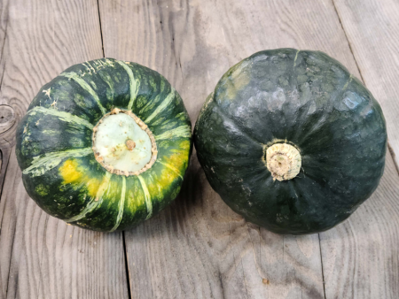 Buttercup Squash - Bushel Fashion