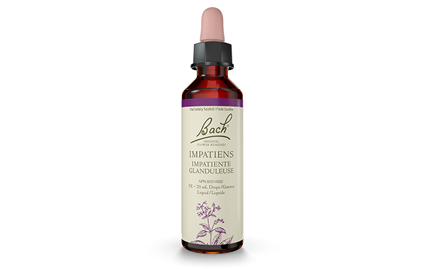 Bach Original Flower Remedy Impatiens 20ml Online Hot Sale