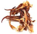 Roasted Cuttlefish Legs (Mildly Spicy) Supply