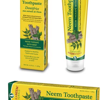 Theraneem Mint Toothpaste 120g Online now