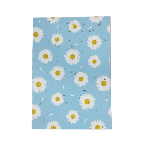 Bare & Co. - Seeded Gift Card - Daisies For Sale