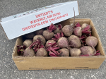 Beets - 1 2 Bushel Sale