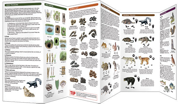 Basic Tracking Guide (Laminated) Sale