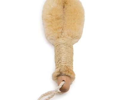 Bare & Co. - Eco Body Brush with Nelumbo Handle and Sisal Bristles For Sale