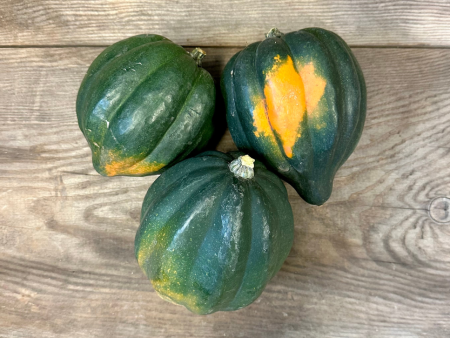 Acorn Squash - Bushel Cheap