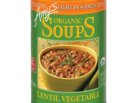 Amy’s Lentil Vegetable, Low Sodium 398ml Fashion