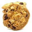 Chocolate Chip (W  Walnuts) For Sale