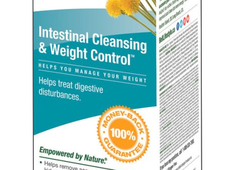 Bell Lifestyle Products #10 Intestinal Cleansing 60 Capsules For Sale