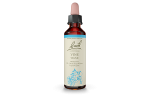 Bach Original Flower Remedy Vine 20ml Sale