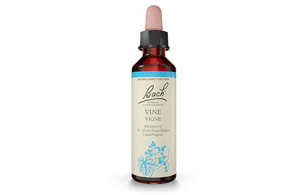 Bach Original Flower Remedy Vine 20ml Sale