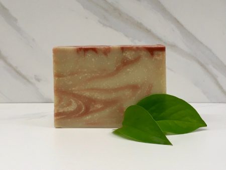 Spiced Wassail Goat Milk Soap For Discount