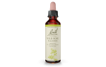 Bach Original Flower Remedy Wild Rose 20ml Discount