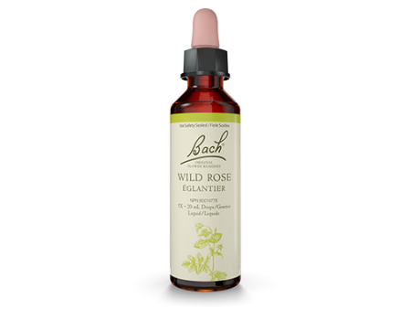 Bach Original Flower Remedy Wild Rose 20ml Discount