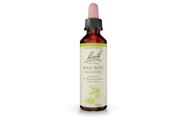 Bach Original Flower Remedy Wild Rose 20ml Discount