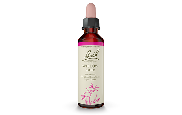 Bach Original Flower Remedy Willow 20ml Online