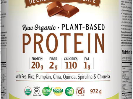 VegiDay Raw Organic Plant Protein Chocolate 972g Fashion