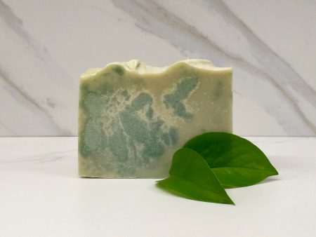 Frasier Forest Goat Milk Soap on Sale