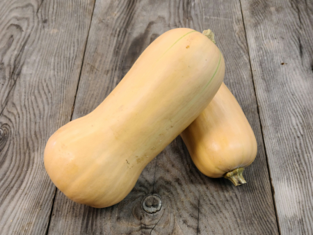 Butternut Squash - Bushel Fashion