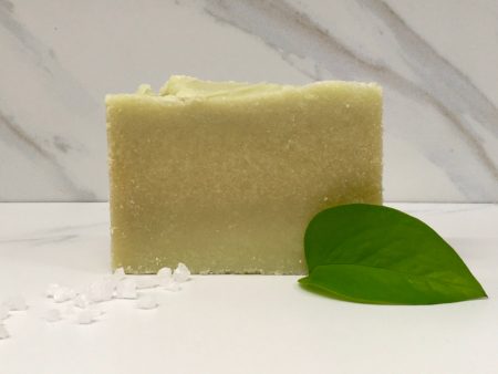 Lime Cilantro Salt Bar, Goat-Milk Soap Fashion