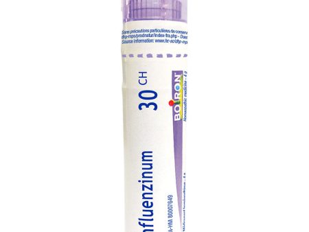 Boiron Influenzinum 30Ch Pellets Sale