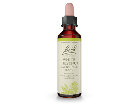 Bach Original Flower Remedy White Chestnut 20ml Online