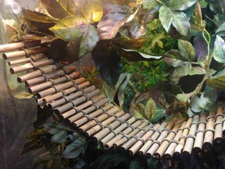 Mini Bamboo Bridge - 2.5  Width Hot on Sale