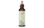 Bach Original Flower Remedy Holly 20ml Discount