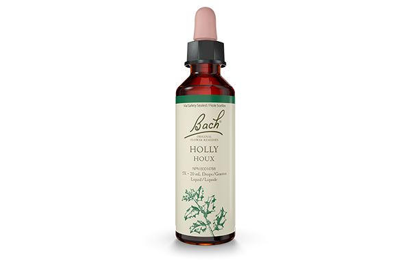 Bach Original Flower Remedy Holly 20ml Discount