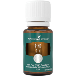 Young Living Pine Essential Oil 15ml Sale