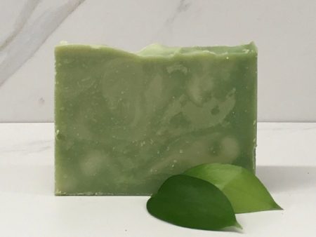 Pine Bergamot, Goat Milk Soap For Discount