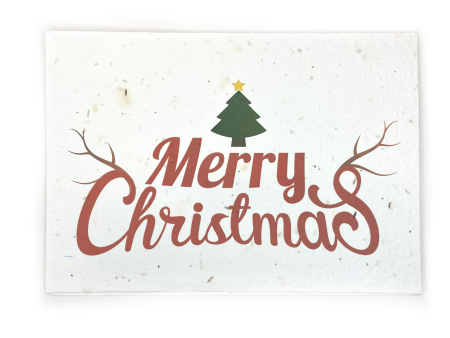 Bare & Co. - Seeded Christmas Card - Red Merry Christmas For Discount