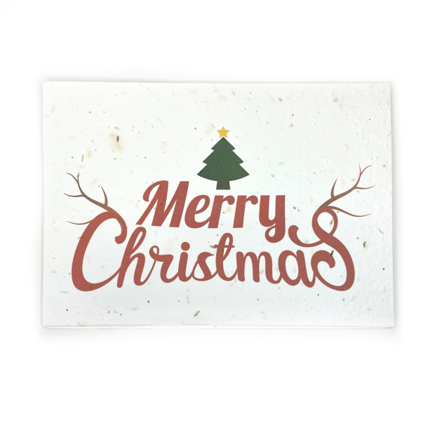 Bare & Co. - Seeded Christmas Card - Red Merry Christmas For Discount