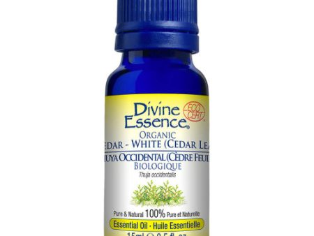 Divine Essence Organic White Cedar Essential Oil 15ml For Cheap