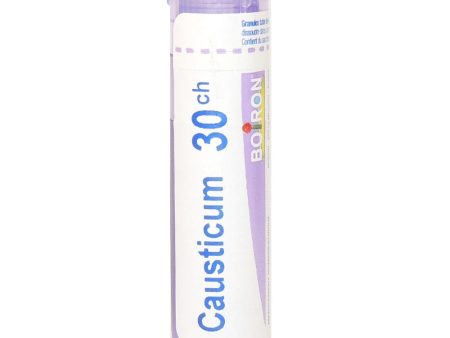 Boiron Causticum 30CH Pellets Online now