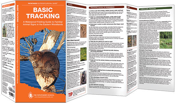 Basic Tracking Guide (Laminated) Sale