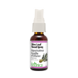 Botanica Olive Leaf Throat Spray Peppermint 30ml Fashion