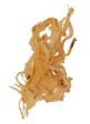 Hokkaido Golden Cuttlefish Hot on Sale