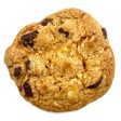 Chocolate Chip (W  Walnuts) For Sale