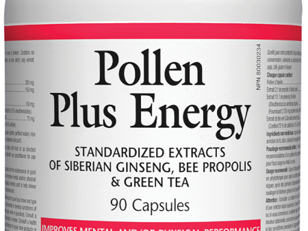 Natural Factors Pollen Plus Energy 90 Capsules on Sale