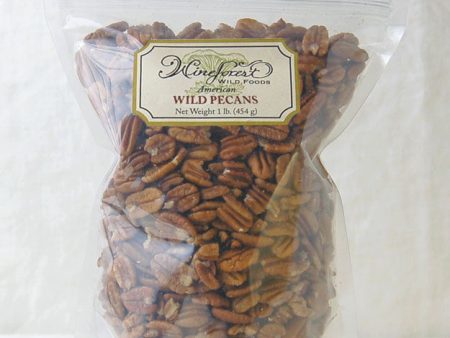 Wine Forest American Native Wild Pecans For Discount