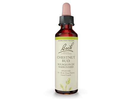 Bach Original Flower Remedy Chestnut Bud 20ml Online Hot Sale