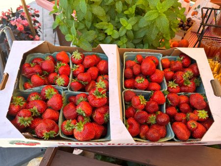 Strawberries - 1 flat Discount