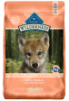 Blue Buffalo Wilderness Large Breed Puppy Grain-Free Chicken Recipe Dry Dog Food Fashion