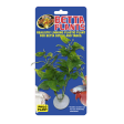 Zoo Med Betta Plant Philo Hot on Sale